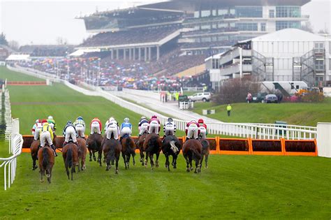 cheltenham festival horse racing